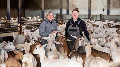 Geitenhoudster Yvonne Termeer (links) werkt met twee vaste arbeidskrachten die ze wierf via Facebook, onder wie Dianne van den Toorn (rechts).