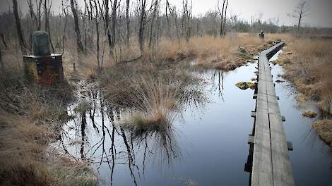 Wooldse Veen, een Natura 2000 gebied in Nationaal Landschap Winterswijk.