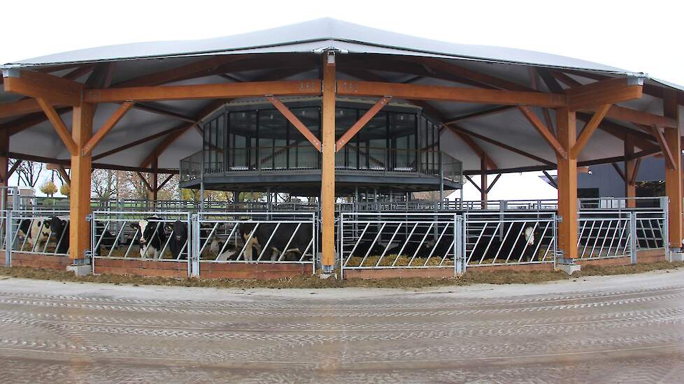 Het duurzaam gebouwde onderkomen voor het vee mag geen stal heten, want het is eigenlijk slechts een overkapping waar de wind dwars doorheen kan. Er zijn acht hokken in gemaakt voor verschillende groepen stieren die tot zo’n 20 maanden op het bedrijf blij