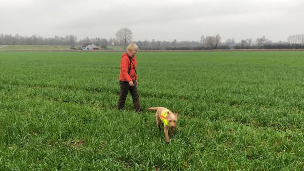 Elly Daamen met op de achtergrond in de verte de boerderij waar ze het gezin opvangt.