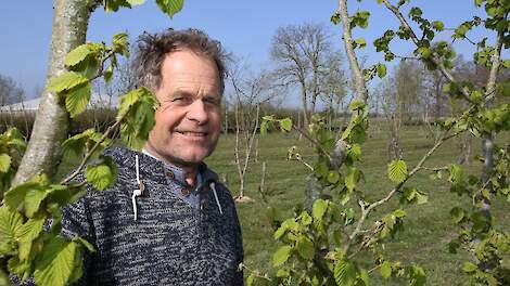 In de notenbomen op 0,7 hectare ziet Lubberdink veel potentie. Enthousiast is hij over de CO2-vastlegging, de stimulans voor de biodiversiteit en de voedingswaarde van noten.