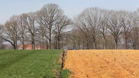 Glyfosaat is een symbool geworden van een manier van boeren die niet iedereen kan waarderen. Maar toelatingsinstanties beoordelen de stof als veilig.