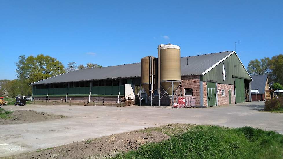 De familie Ter Haar heeft een melkveehouderij met 65 melkkoeien. Sinds 2016 maken ze van eigen melk kaas. Daarnaast leveren ze melk aan FrieslandCampina.