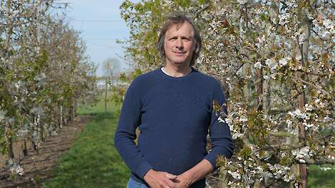 Fruitteler Gerrit Verweij de Geus teelt al jaren peren en appels in zijn boomgaard op een perceel in Deil (GD). Sinds 2 jaar heeft hij ook 1 hectare noten staan.