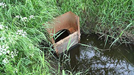 Groot voordeel vindt melkveehouder Bas Toxopeus dat met een droogtestuw de droogte 20 tot 30 dagen kan worden uitgesteld.