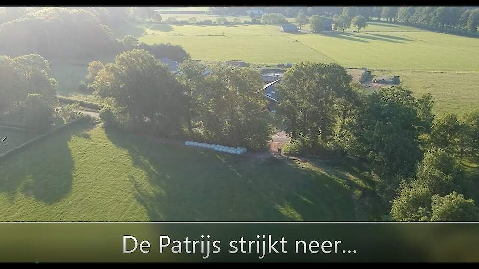 Een nieuwe plek voor De Patrijs!