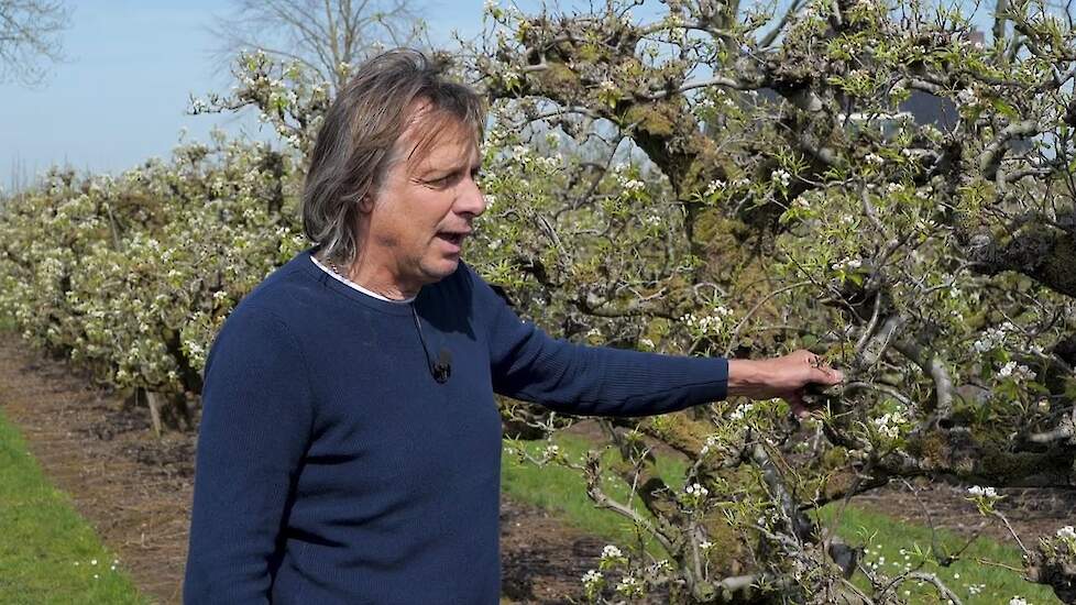 Gerrit Verweij De Geus in Deil: ‘Samenwerken met de natuur is mijn uitgangspunt’