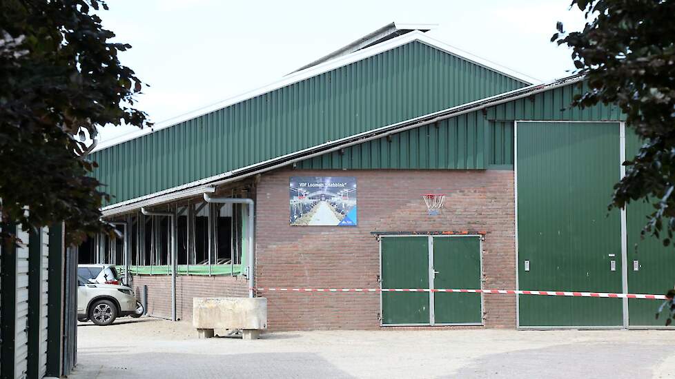 De nieuwe stal is achter de oude melkveestal gebouwd.