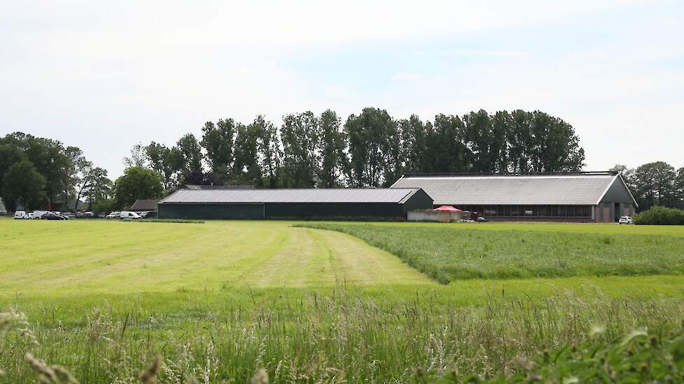 Looman voert soms op stal vers gras.