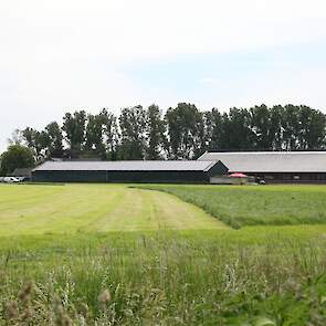 Looman voert soms op stal vers gras.