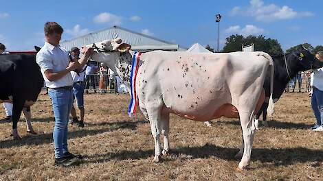J&G Redspot 157 is Lady Agrifair 2022