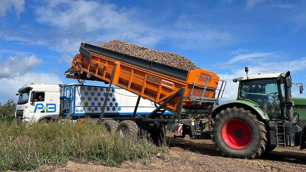Fotoserie: Gelderse aardappelen vanaf het land schoon in de vrachtwagen met nieuwe hooglosser