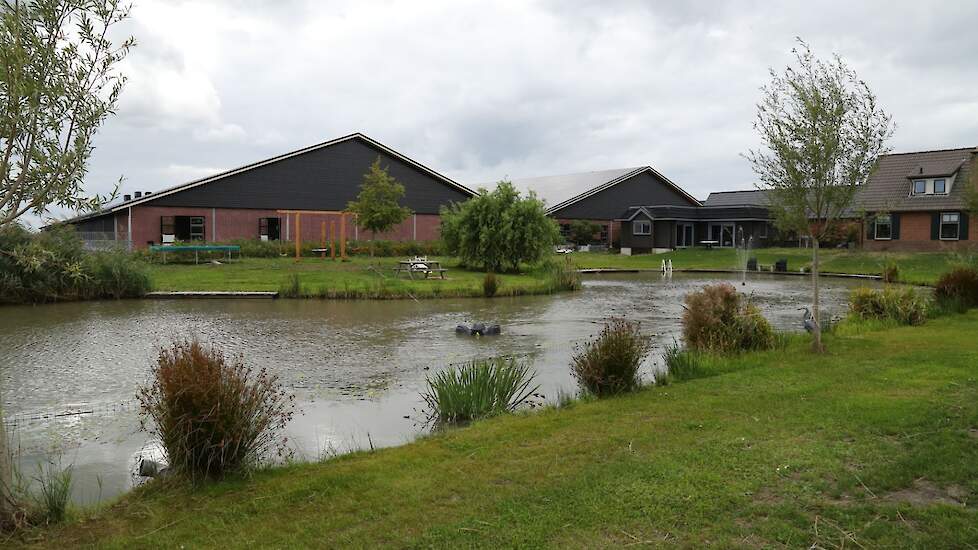 De fraaie nieuwe stal staat naast één van hun beide bestaande stallen. Naast het woonhuis ligt een vijver. Lagerweij moest waterberging realiseren omdat het bebouwd oppervlak toenam. „Wij hebben een vijver laten graven. Daar hebben we zelf ook nog iets aa