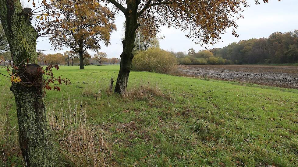 Een willekeurige veehouderij in de buurt van een Natura 2000-gebied.