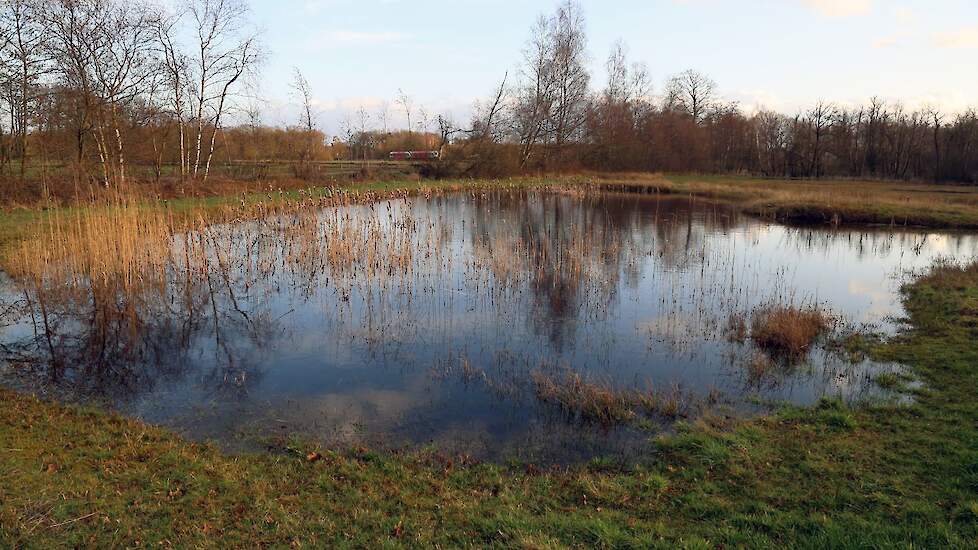 Natura 2000-gebied Korenburgerveen.