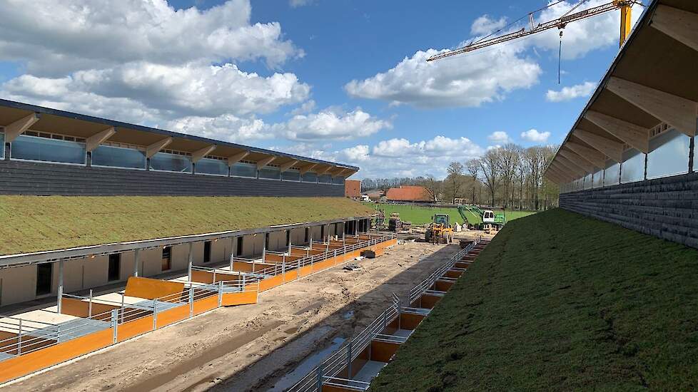 De Zonvarkenstal heeft uitloop naar buiten en is voorzien van een sedumdak (bedekt met vetplantjes).