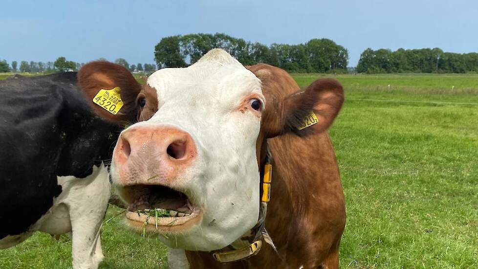 Fotoserie: Volop vermaak op de Open Boerderijdag in Hernen