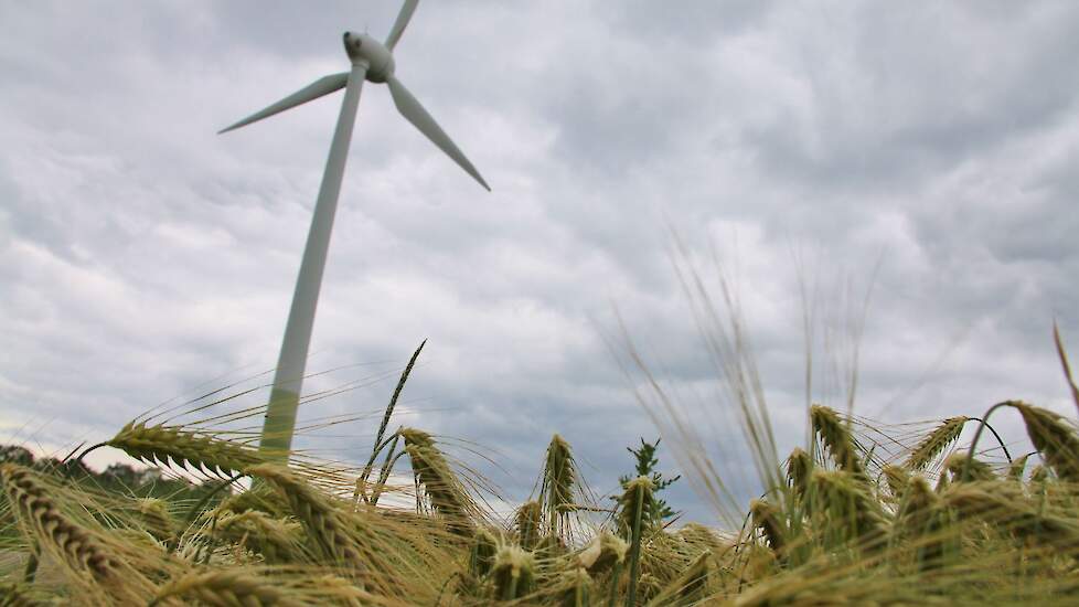 Raad van State doet spoeduitspraak windmolen bij melkveehouderij in Welsum