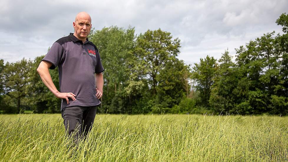 Ook bedrijfsleider Dave te Woerd van WOPA (foto) is tevreden over de opbrengst op het eigen bedrijf. „We zitten op 1.500 tot 1.600 kg, en op de beste percelen halen we 2.000 kg.” Hij denkt dat de regen net op tijd is gekomen, waar het gewas nog goed van h