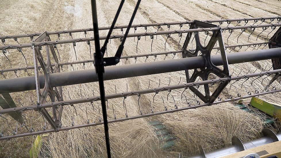 Meijerink teelt zelf 10 hectare graszaad. Daarnaast maait en dorst hij in loonwerk voor twee andere akkerbouwbedrijven, waaronder loon- en akkerbouwbedrijf WOPA uit Zieuwent.