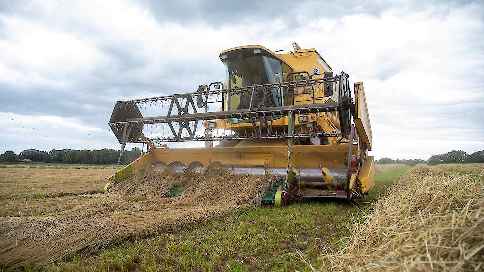 De akkerbouwer heeft de combine - een NewHolland TX65 plus uit 1998 - aangepast voor de graszaadoogst. Aan de voorkant is deze voorzien van een opraapband om het gras uit het zwad op te rapen. Ook draait de machine tijdens de graszaadoogst op een lager to