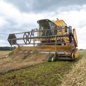 De akkerbouwer heeft de combine - een NewHolland TX65 plus uit 1998 - aangepast voor de graszaadoogst. Aan de voorkant is deze voorzien van een opraapband om het gras uit het zwad op te rapen. Ook draait de machine tijdens de graszaadoogst op een lager to