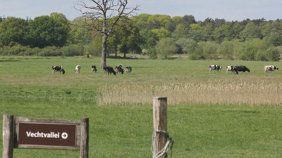 Stimuland organiseert Vechtdal Agro Velddag over nieuwe landbouwvormen