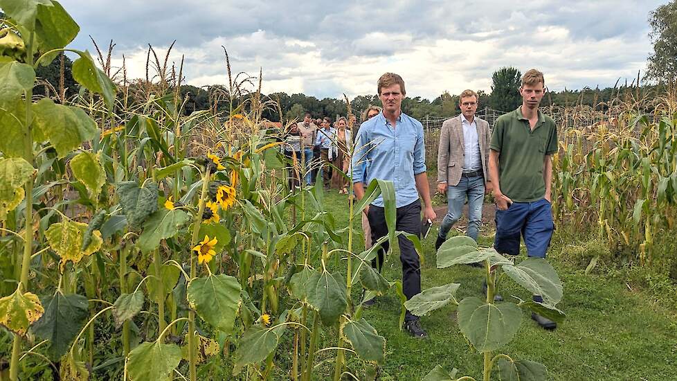 Voorop lopen de melkveehouder en één van de hulpboeren. Erachter minister Van der Wal en haar gevolg die luisteren naar tuinder Herbert Wennekes.