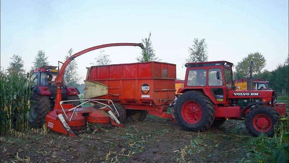 Case International 1455XL + Volvo BM 2654 | Mais silage 2023 | Nijkerk | Maishakselen | Kemper