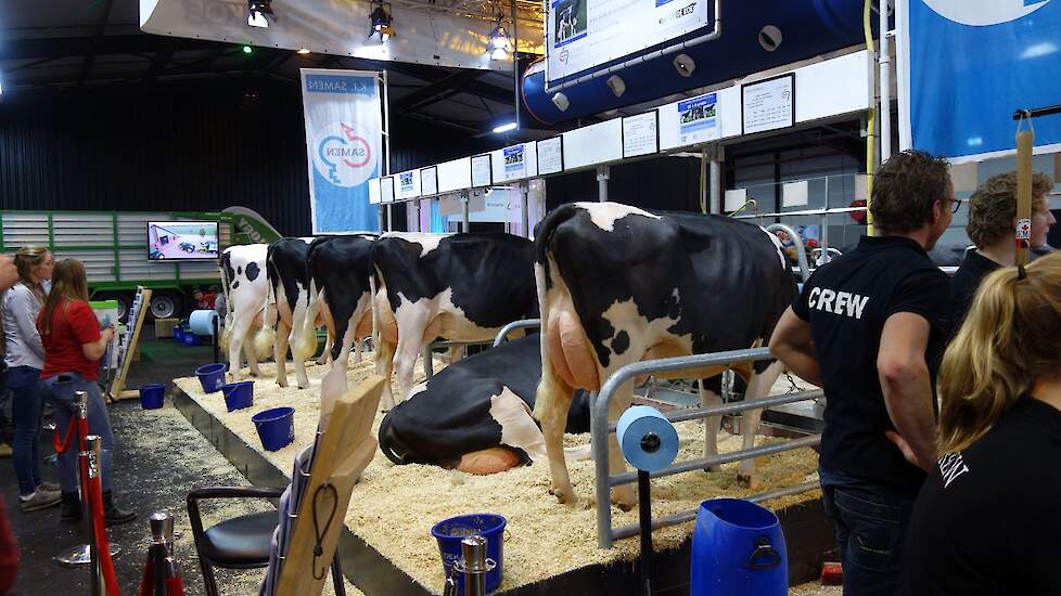 De presentatie van de dochtergroep van K.I. Samen in 2019.