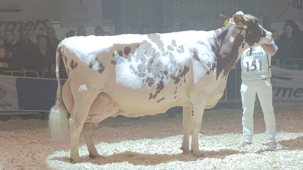 Irma 68 won de roodbonte productieklasse. Ze gaf al meer dan 110.000 kg melk
