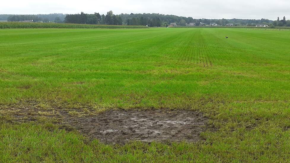 Deze foto is gemaakt in de laatste week van augustus 2023.