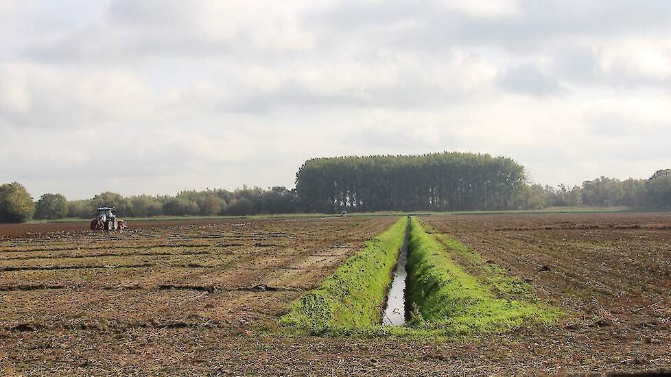 Beeld ter illustratie.
