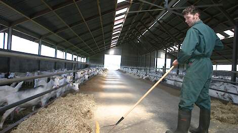 Voor aanschuiven op een geitenhouderij in Dalfsen (OV). Ter illustratie.