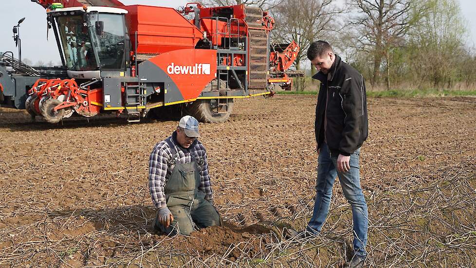 Bas Westerveld bekijkt samen met medewerker Henrie Sloëtjes wat er nog aan aardappelen in de ruggen zit. Veruit de meeste knollen zijn vergaan. De intacte knollen zijn echter nog opvallend hard. Her en der zit er een kiem aan.