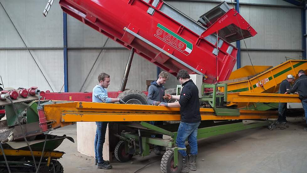 De oogst wordt op de thuislocatie nog een keer goed uitgelezen, vervolgens in kisten gedraaid en daarna voor een droogwand gezet.