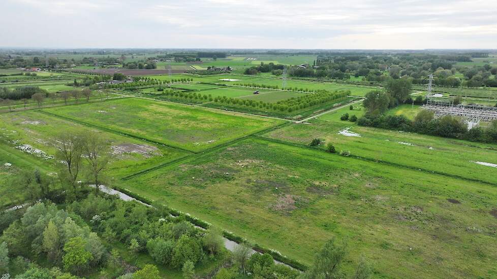 Overzichtsfoto perceel Elst/toekomstig Voedselbos De Laar.