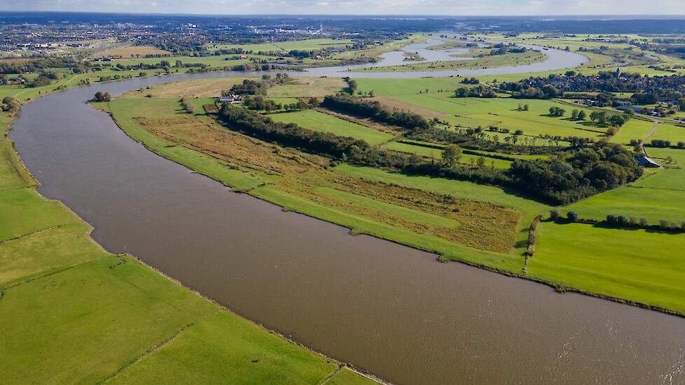 Organisatie Natuur en Milieu Overijssel en provincie gaan agrarisch grasland afplaggen bij Zalk