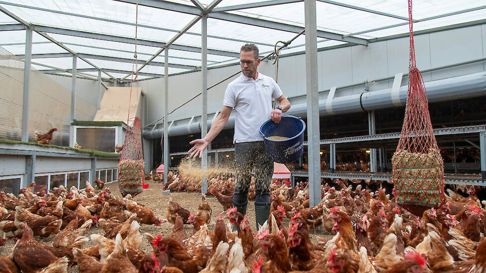 Daniël van den Brink van Rondeel in Barneveld: Alles uit de kast voor