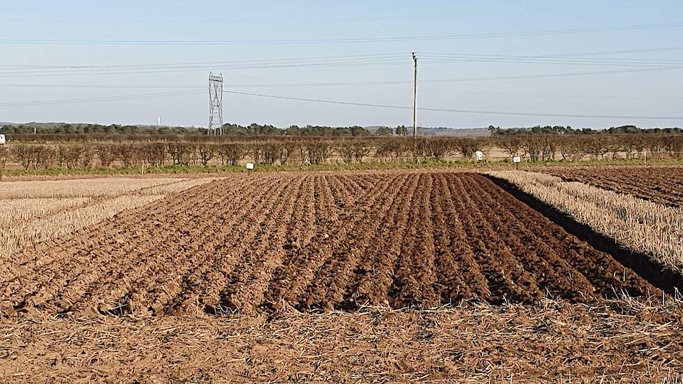 De deelnemers worden beoordeeld op hoe ze het gerende veld hebben geploegd, en hoe de voren op de kopakker netjes bij elkaar komen.