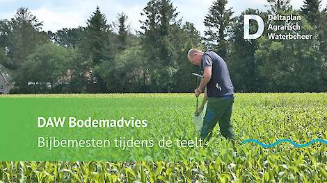 Beter bijbemesten met inzicht in nutriënten