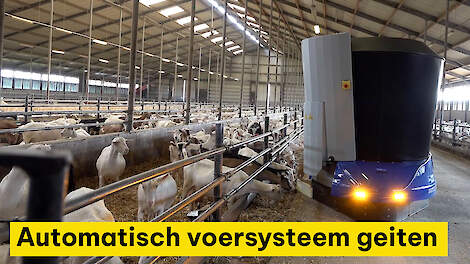 Geitenhouder Bremer heeft innovatief voersysteem waarbij stationaire voermenger en voerrobot samenwerken