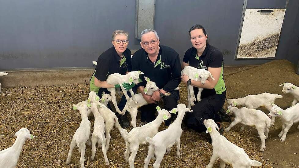 ‘Willen ze soms de sector kapot maken?’