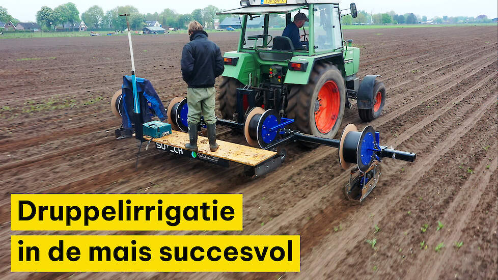 Druppelirrigatie in de mais succesvol: ‘Van 16 naar 20 ton droge stof per hectare’