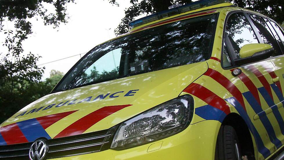 Beeld ter illustratie.