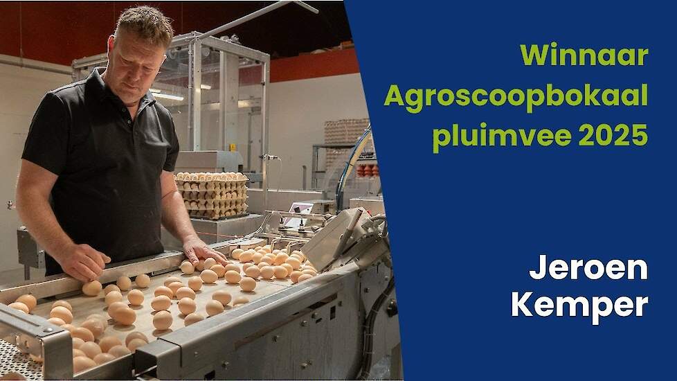 Jeroen Kemper wint Agroscoopbokaal pluimvee 2025