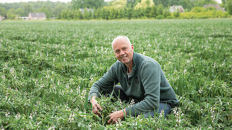 Akkerbouwer André Jurrius investeert flink in het op de kaart zetten van lupine.
