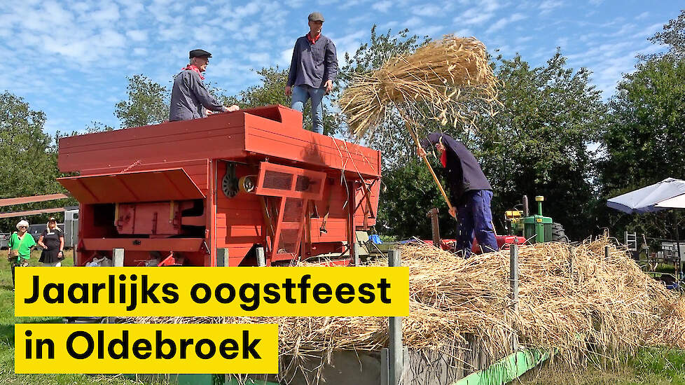 Oogstfeest Oldebroek viert boerenleven in volle glorie