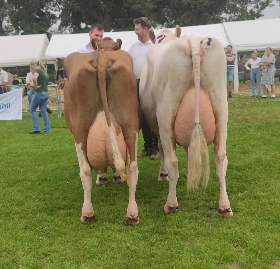 Het kampioensduo van de productieklasse met links kampioene Neeltje 94.