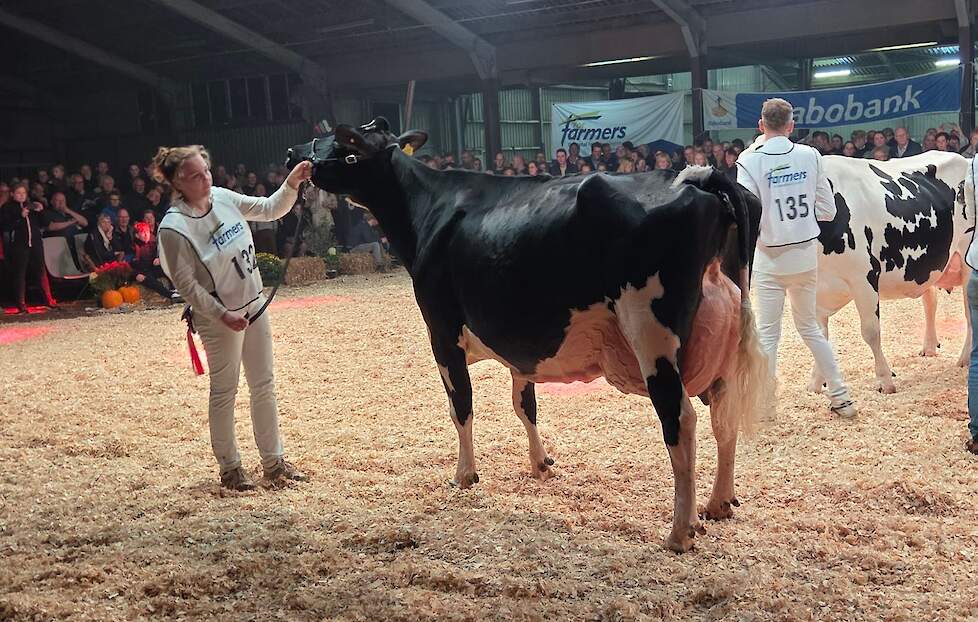 Aaltje 606 pakte de titel bij de zwartbonte senioren.